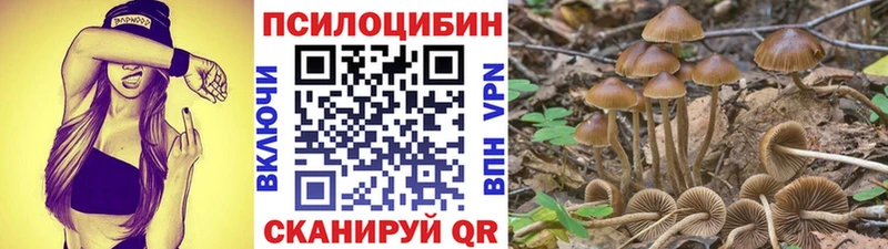 Галлюциногенные грибы мицелий Анапа